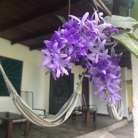 El Pargo Feliz Hotel Монтесума Екстериор снимка
